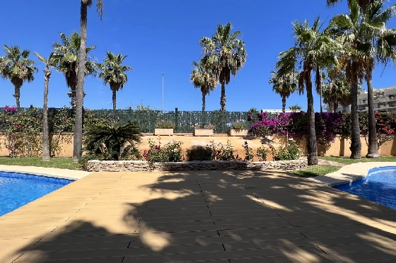 Apartment in Denia(Centro) zur Ferienvermietung, Wohnfläche 84 m², Zustand gepflegt, + KLIMA, Klimaanlage, 1 Schlafzimmer, 2 Badezimmer, Pool, ref.: T-1318-6