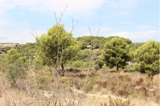 Wohngrundstück in Moraira(Benimeit) zu verkaufen, Grundstück 10010 m², ref.: BP-3097MOR-4