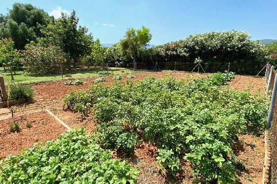 Finca in Denia zu verkaufen, Wohnfläche 250 m², Baujahr 2003, Zustand gepflegt, + Fussbodenheizung, Klimaanlage, Grundstück 10700 m², 4 Schlafzimmer, 3 Badezimmer, Pool, ref.: AS-1521-26