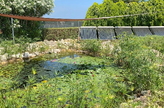 Finca in Denia zu verkaufen, Wohnfläche 250 m², Baujahr 2003, Zustand gepflegt, + Fussbodenheizung, Klimaanlage, Grundstück 10700 m², 4 Schlafzimmer, 3 Badezimmer, Pool, ref.: AS-1521-29