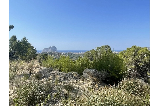 Wohngrundstück in Calpe(La Empedrola) zu verkaufen, Klimaanlage, Grundstück 2000 m², Pool, ref.: BI-CA.G-080-1