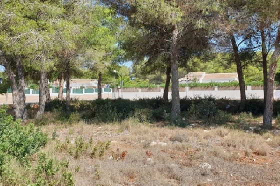 Wohngrundstück in Javea zu verkaufen, Wohnfläche 1131 m², Grundstück 1131 m², ref.: BS-3974864-1