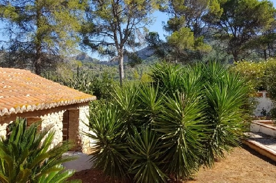 Villa in Gandia zu verkaufen, Wohnfläche 1300 m², Grundstück 200000 m², 20 Badezimmer, ref.: BS-3974641-34