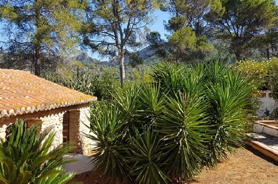 Villa in Gandia zu verkaufen, Wohnfläche 1300 m², Grundstück 200000 m², 20 Badezimmer, ref.: BS-3974641-6