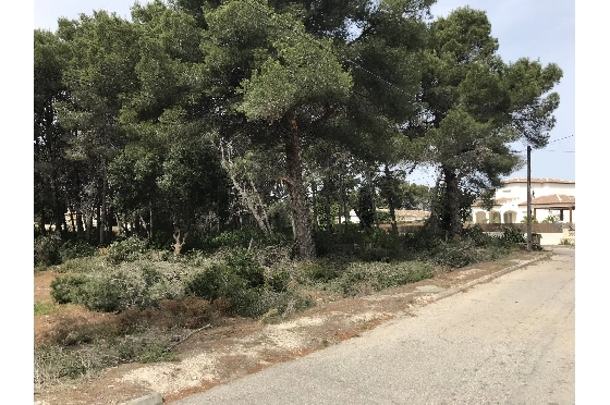 Wohngrundstück in Javea zu verkaufen, Wohnfläche 3514 m², ref.: BS-5275788-7