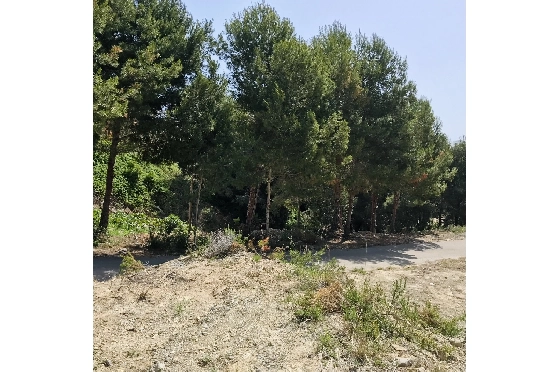 Wohngrundstück in Javea zu verkaufen, Wohnfläche 3737 m², ref.: BS-5513658-4