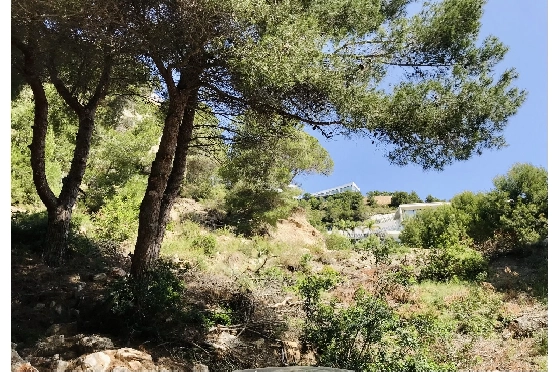 Wohngrundstück in Javea zu verkaufen, Wohnfläche 3737 m², ref.: BS-5513658-9