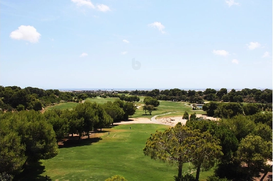 Penthouse Apartment in Pilar de la Horadada zu verkaufen, Wohnfläche 201 m², Zustand Erstbezug, 3 Schlafzimmer, 2 Badezimmer, Pool, ref.: HA-PIN-102-A06-13