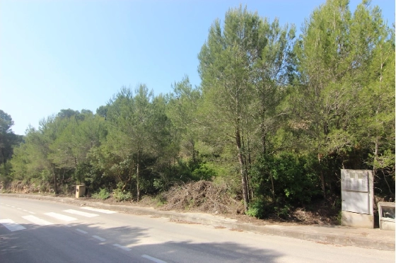 Wohngrundstück in Javea(Tosalet) zu verkaufen, Grundstück 1000 m², ref.: BP-3497JAV-3