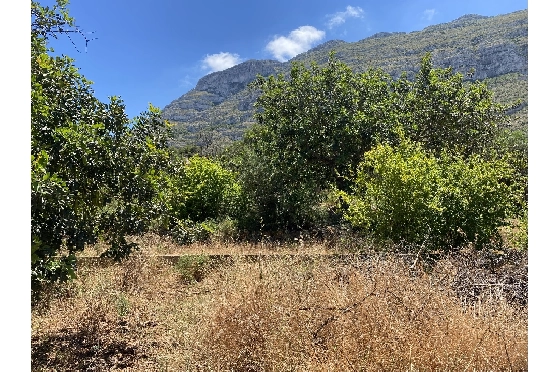 Wohngrundstück in Denia zu verkaufen, Grundstück 800 m², ref.: GC-0922-3