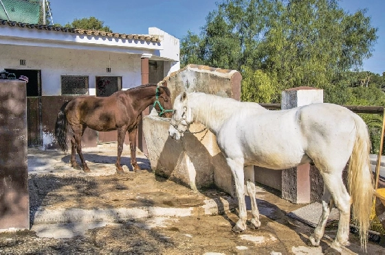 Apartment in Denia-La Sella zu verkaufen, Wohnfläche 140 m², Baujahr 2000, + KLIMA, Klimaanlage, 2 Schlafzimmer, 2 Badezimmer, ref.: SBR-1722-22