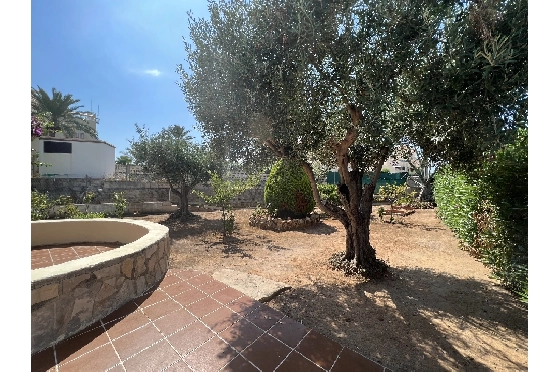 Villa in Denia zu verkaufen, Wohnfläche 137 m², Baujahr 1980, Grundstück 571 m², 3 Schlafzimmer, 3 Badezimmer, ref.: SBR-1922-20