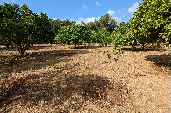 Finca in Denia(Sport center) zu verkaufen, Grundstück 2000 m², ref.: BP-8013DEN-1