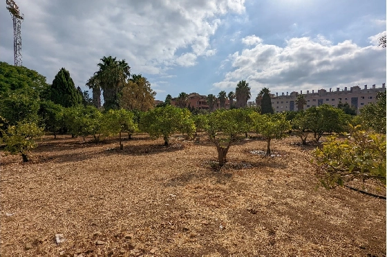 Finca in Denia(Sport center) zu verkaufen, Grundstück 2000 m², ref.: BP-8013DEN-10