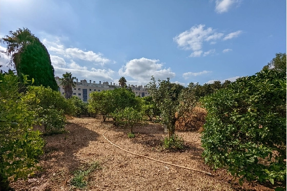 Finca in Denia(Sport center) zu verkaufen, Grundstück 2000 m², ref.: BP-8013DEN-5