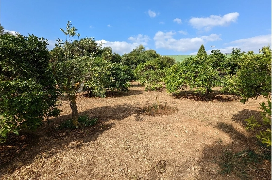 Finca in Denia(Sport center) zu verkaufen, Grundstück 2000 m², ref.: BP-8013DEN-6