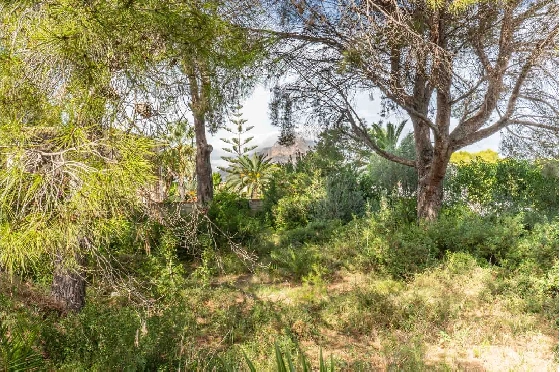 Wohngrundstück in Javea(Adsubia) zu verkaufen, Grundstück 1000 m², ref.: BP-4131JAV-3