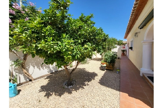 Villa in Moraira(Sabatera) zu verkaufen, Wohnfläche 287 m², Klimaanlage, Grundstück 797 m², 4 Schlafzimmer, 3 Badezimmer, ref.: BP-6440MOR-5