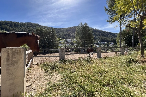 Finca in Orba zu verkaufen, Wohnfläche 300 m², Baujahr 2000, + Ofen, Grundstück 17241 m², 4 Schlafzimmer, 2 Badezimmer, Pool, ref.: SB-2423-34