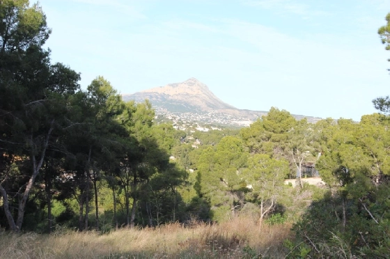 Wohngrundstück in Javea(Costa Nova) zu verkaufen, Grundstück 3289 m², ref.: BP-3596JAV-14