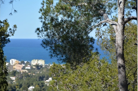 Wohngrundstück in Javea(Costa Nova) zu verkaufen, Grundstück 3289 m², ref.: BP-3596JAV-2