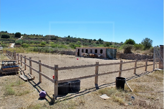 Wohngrundstück in Benissa zu verkaufen, Grundstück 11141 m², ref.: NL-NLD1495-1