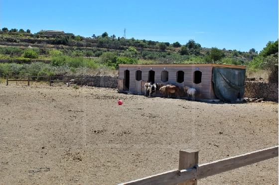 Wohngrundstück in Benissa zu verkaufen, Grundstück 11141 m², ref.: NL-NLD1495-12