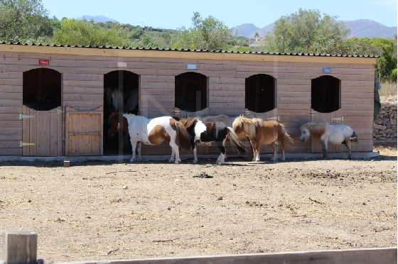 Wohngrundstück in Benissa zu verkaufen, Grundstück 11141 m², ref.: NL-NLD1495-2