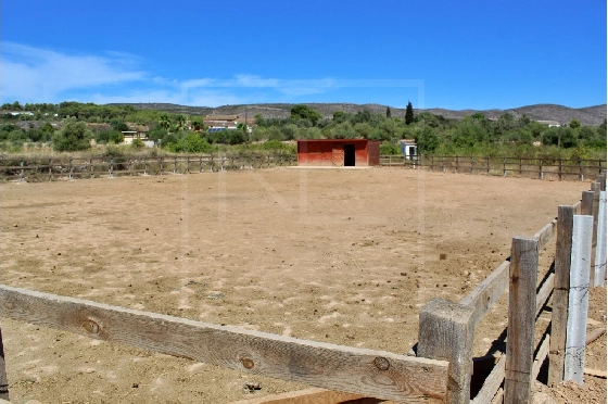 Wohngrundstück in Benissa zu verkaufen, Grundstück 11141 m², ref.: NL-NLD1495-4