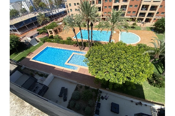 Dachgeschoss Apartment in Denia zu verkaufen, Wohnfläche 180 m², Klimaanlage, Grundstück 180 m², 4 Schlafzimmer, 3 Badezimmer, Pool, ref.: VI-ATI003-31