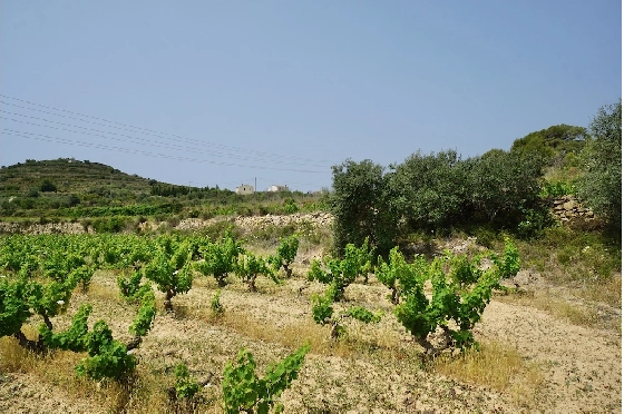 Wohngrundstück in Benitachell(Raco de Nadal) zu verkaufen, Grundstück 13886 m², ref.: CA-G-1660-AMB-4