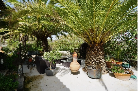 Finca in Benissa(Partida Llenes) zu verkaufen, Wohnfläche 326 m², Klimaanlage, Grundstück 18203 m², 3 Schlafzimmer, 3 Badezimmer, Pool, ref.: CA-F-1784-AMBI-40