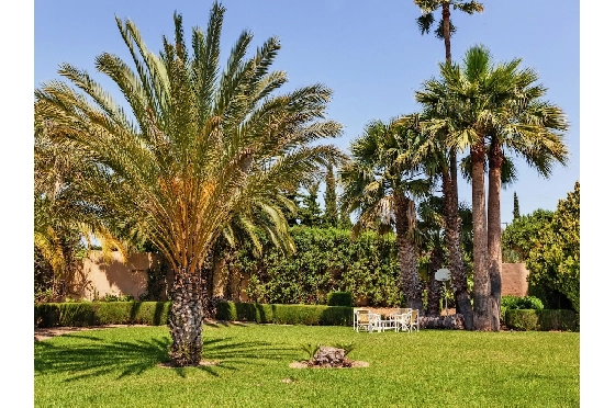 Finca in Benissa(Benissa Centre) zu verkaufen, Wohnfläche 495 m², Grundstück 8800 m², 4 Schlafzimmer, 4 Badezimmer, Pool, ref.: CA-F-1791-AMB-32