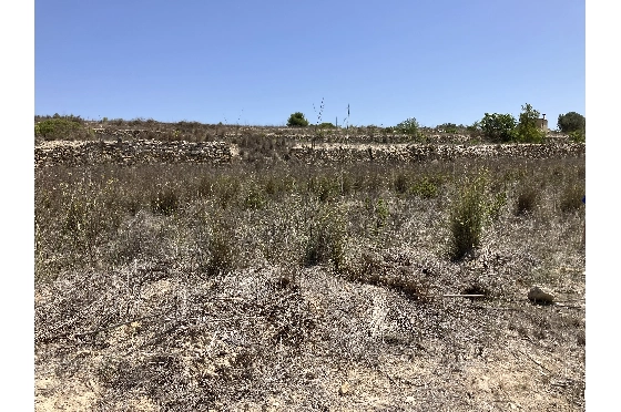 Wohngrundstück in Benissa(Partida Berdica) zu verkaufen, Grundstück 14000 m², ref.: CA-G-1793-AMB-2