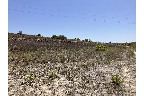 Wohngrundstück in Benissa(Partida Berdica) zu verkaufen, Grundstück 14000 m², ref.: CA-G-1793-AMB-4