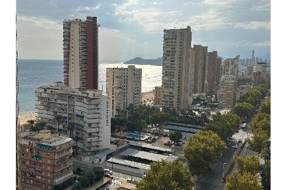 Apartment in Benidorm(Avenida del Mediterraneo) zu verkaufen, Wohnfläche 63 m², Klimaanlage, 1 Schlafzimmer, 1 Badezimmer, Pool, ref.: COB-13065-10535-2