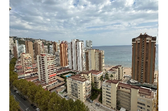 Apartment in Benidorm(Avenida del Mediterraneo) zu verkaufen, Wohnfläche 63 m², Klimaanlage, 1 Schlafzimmer, 1 Badezimmer, Pool, ref.: COB-13065-10535-3