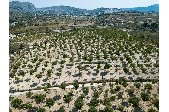 Wohngrundstück in Benissa zu verkaufen, Klimaanlage, Grundstück 36000 m², Pool, ref.: AM-11388DA-1