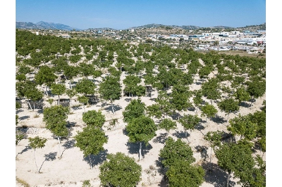 Wohngrundstück in Benissa zu verkaufen, Klimaanlage, Grundstück 36000 m², Pool, ref.: AM-11388DA-3