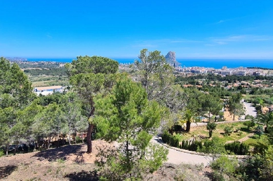 Wohngrundstück in Calpe zu verkaufen, Klimaanlage, Grundstück 5150 m², Pool, ref.: AM-11749NS-1