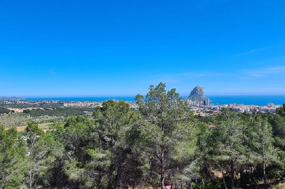 Wohngrundstück in Calpe zu verkaufen, Klimaanlage, Grundstück 5150 m², Pool, ref.: AM-11749NS-2