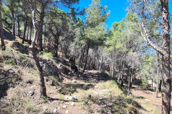 Wohngrundstück in Calpe zu verkaufen, Klimaanlage, Grundstück 2500 m², ref.: AM-11750DA-4