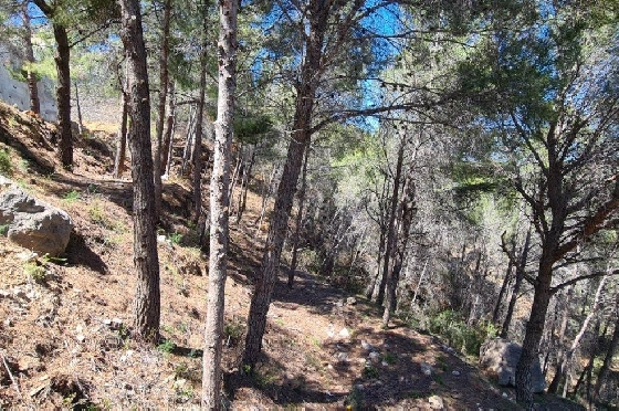 Wohngrundstück in Calpe zu verkaufen, Klimaanlage, Grundstück 2500 m², ref.: AM-11750DA-6