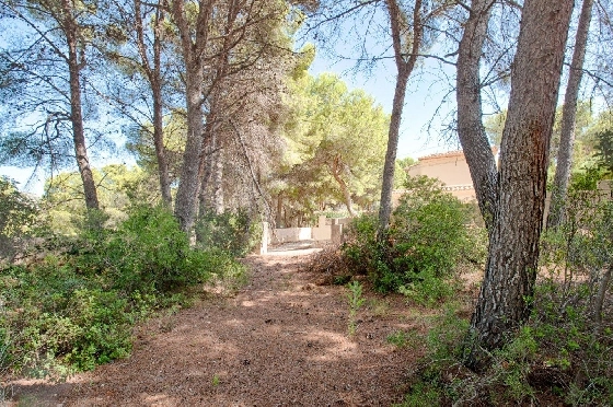 Wohngrundstück in Benissa zu verkaufen, Klimaanlage, Grundstück 1039 m², Pool, ref.: AM-11814DA-2