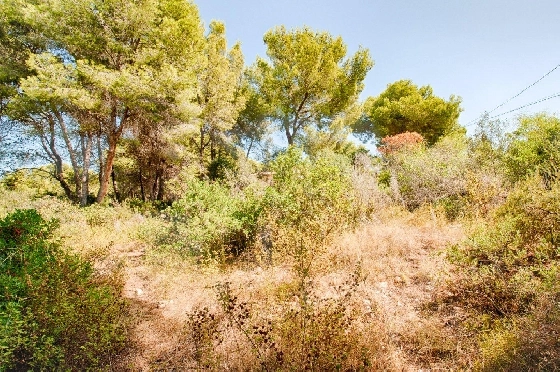 Wohngrundstück in Benissa zu verkaufen, Klimaanlage, Grundstück 1039 m², Pool, ref.: AM-11814DA-5