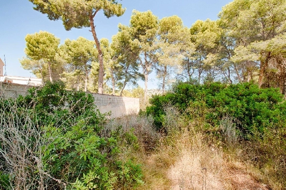 Wohngrundstück in Benissa zu verkaufen, Klimaanlage, Grundstück 1039 m², Pool, ref.: AM-11814DA-7