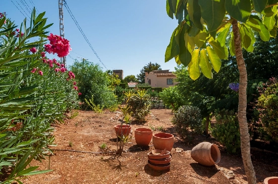 Villa in Calpe(Carrio) zu verkaufen, Wohnfläche 364 m², Grundstück 1197 m², 4 Schlafzimmer, 3 Badezimmer, Pool, ref.: COB-3471-10535-32